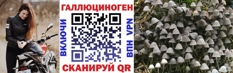 что такое наркотик Верхняя Тура Псилоцибиновые грибы прущие грибы